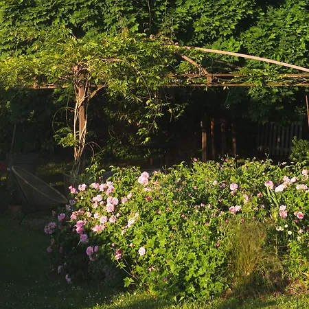 La Bien-aimée Montrevault