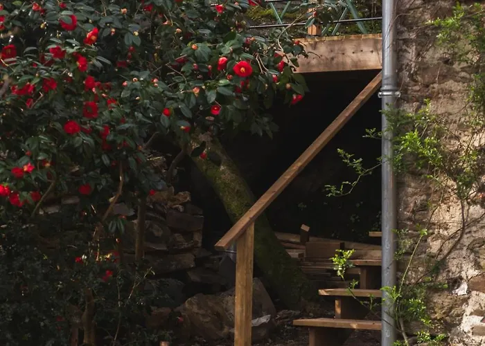 Bed & Breakfast La Bien-aimee 4*