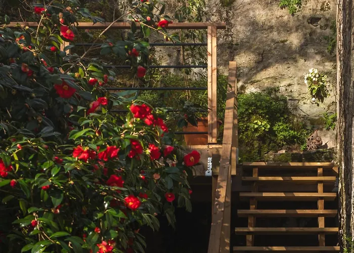 La Bien-aimee Montrevault